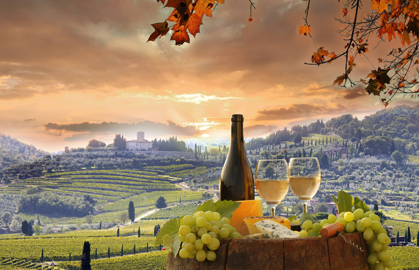 A Tour de Vin Exploring Enchanting Italian Wine Regions Online