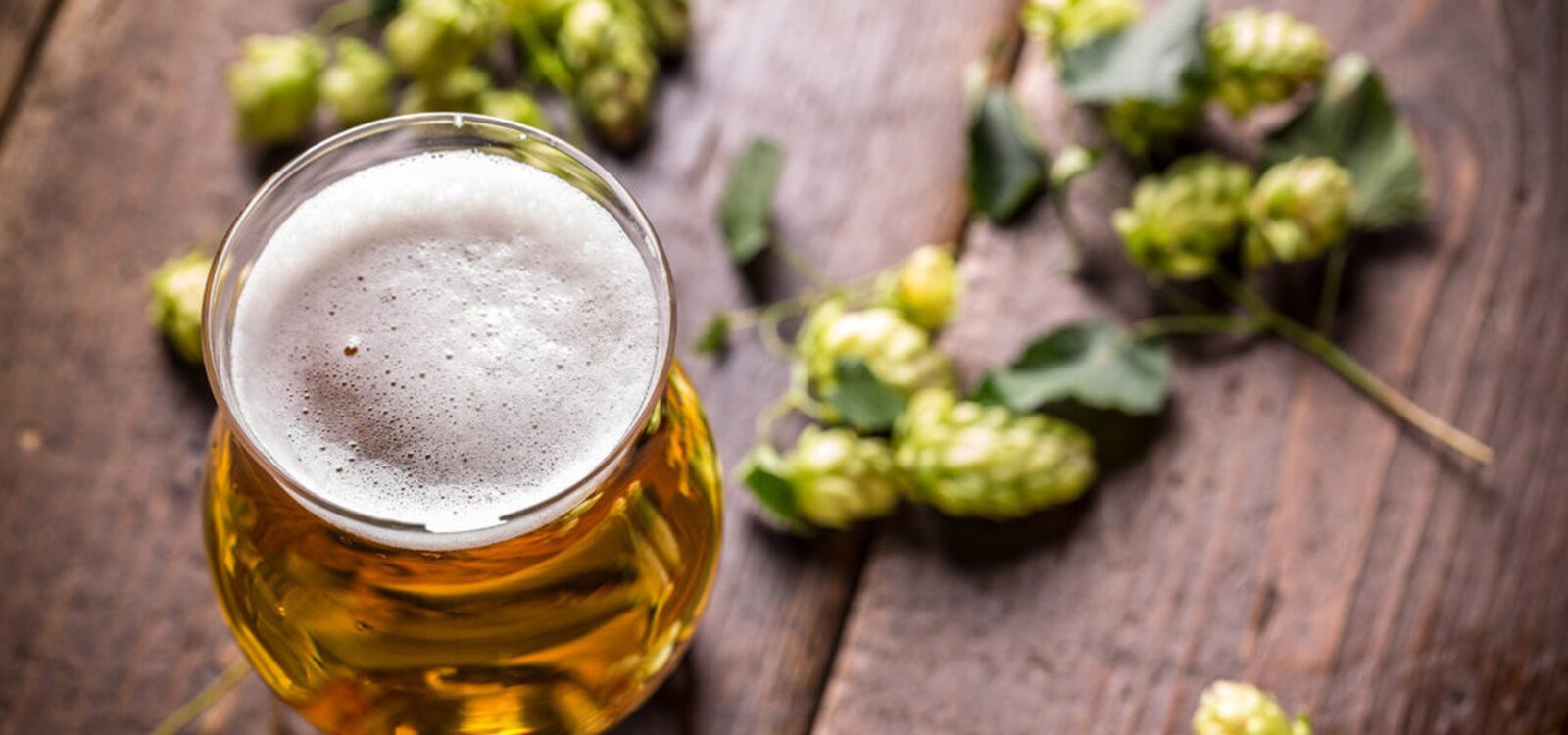 Hicksville Beer & Soda, Hicksville, NY, Hicksville, NY